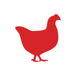 دواجن